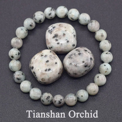 Reiki Healing Apatite Bracelet