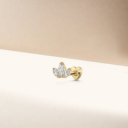 Celeste Royal Crown Stud